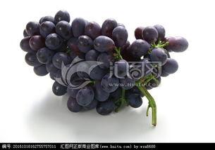 欧美高清葡萄视频,品味异域风情，尽享视觉盛宴